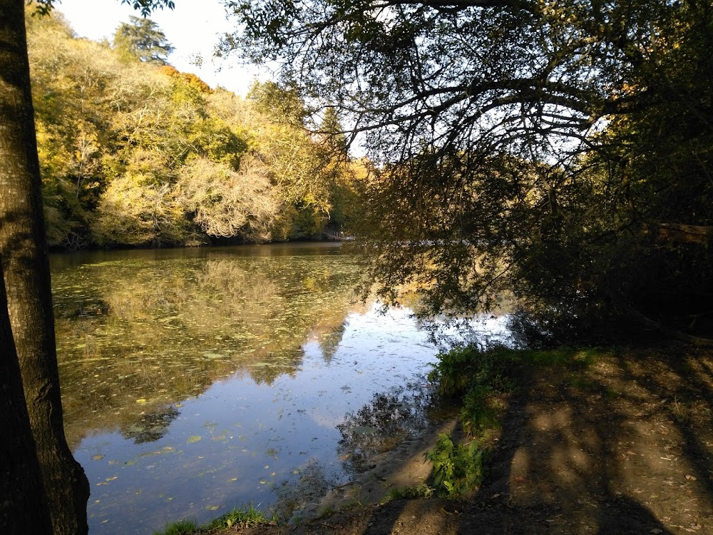 Mercredi, folle journée! : Old steamship Lechalas up the river