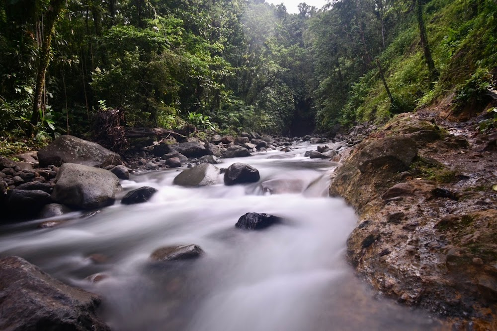 Meurtres en Guadeloupe : 