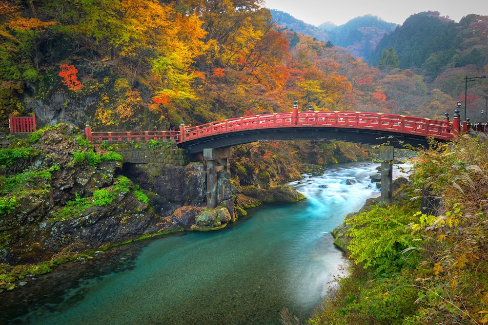 Japan in Cherry Blossom Time : 