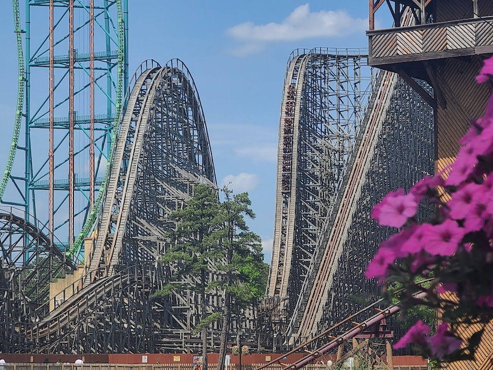 Morning Glory : Ernie on the rollercoaster