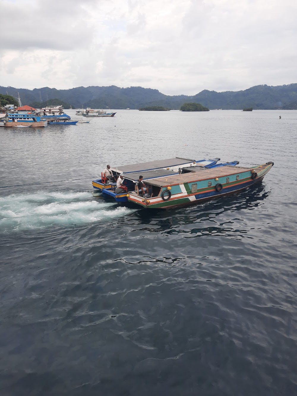 Mucky Secrets: The Marine Creatures of the Lembeh Strait : 