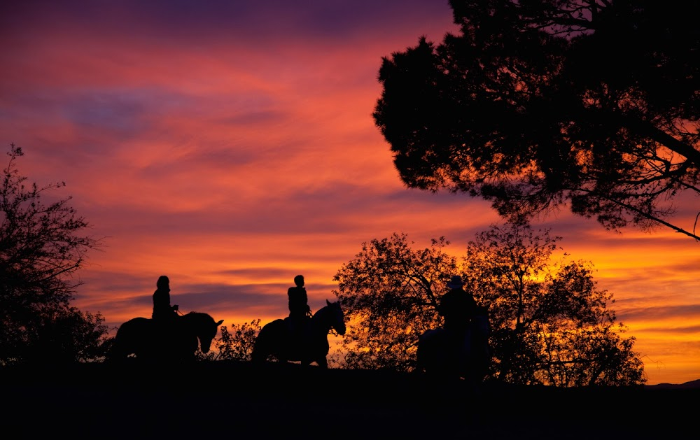 Mulholland Dr. : Corral where Adam meets The Cowboy