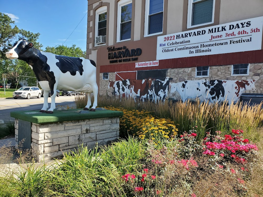 Mustang Saviors : BraveHearts Therapeutic Riding Center