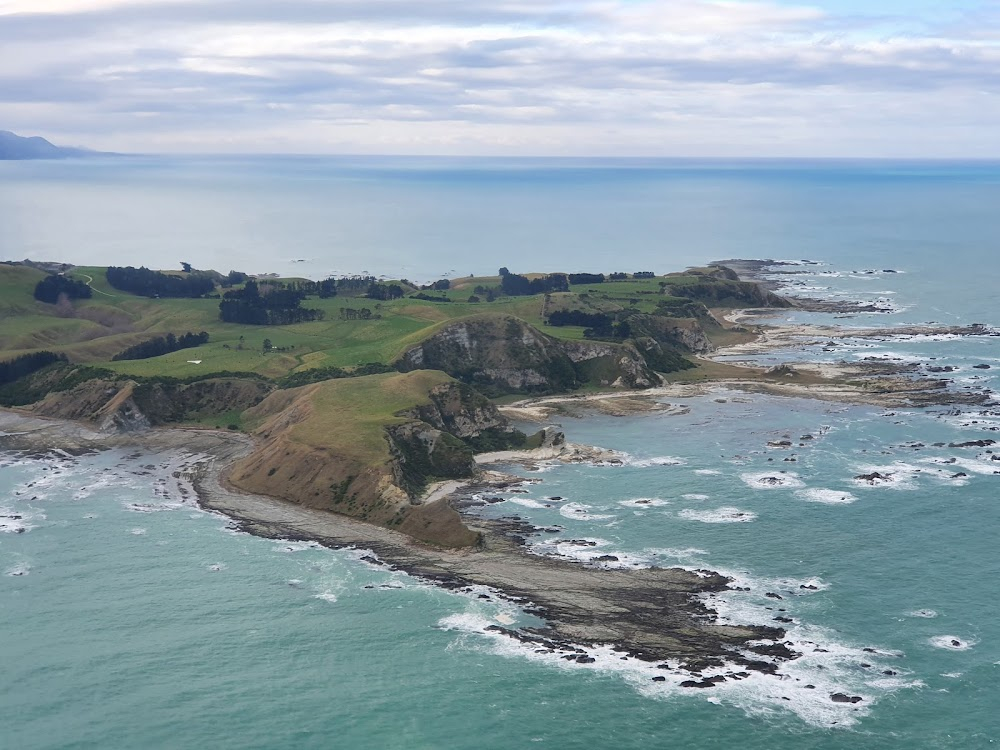 Walking in the Footsteps of the Ancestors : Auckland, Rotorua, Wellington, Christchurch