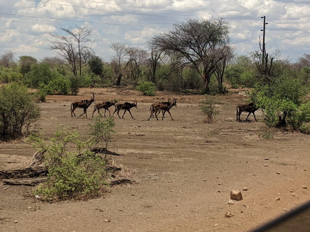 Namibia Diaries : 