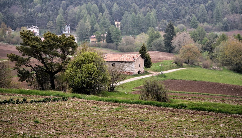 Narciso, dietro i cannoni, davanti ai muli : 