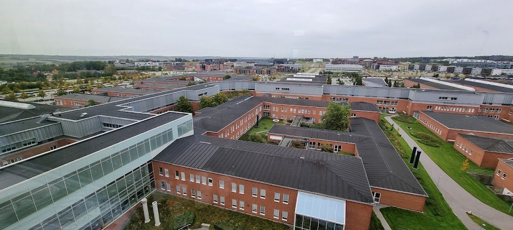 Nattevagten - Dæmoner går i arv : Hospital, psychiatric hospital, forensic institute