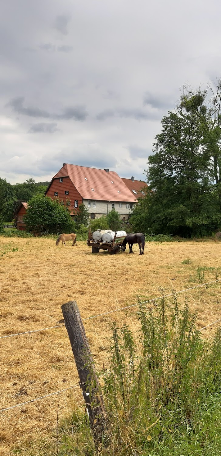 Nazijäger - Reise in die Finsternis : fictional scenes