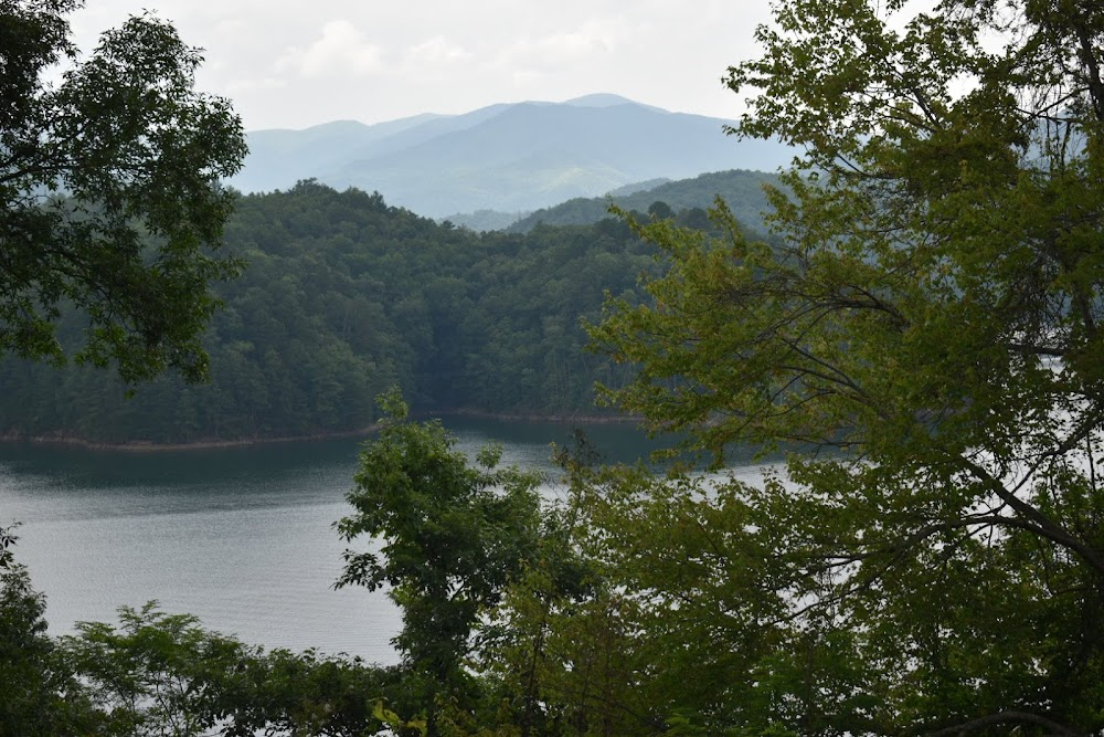 Nell : cabin, surrounding woods and adjacent lake