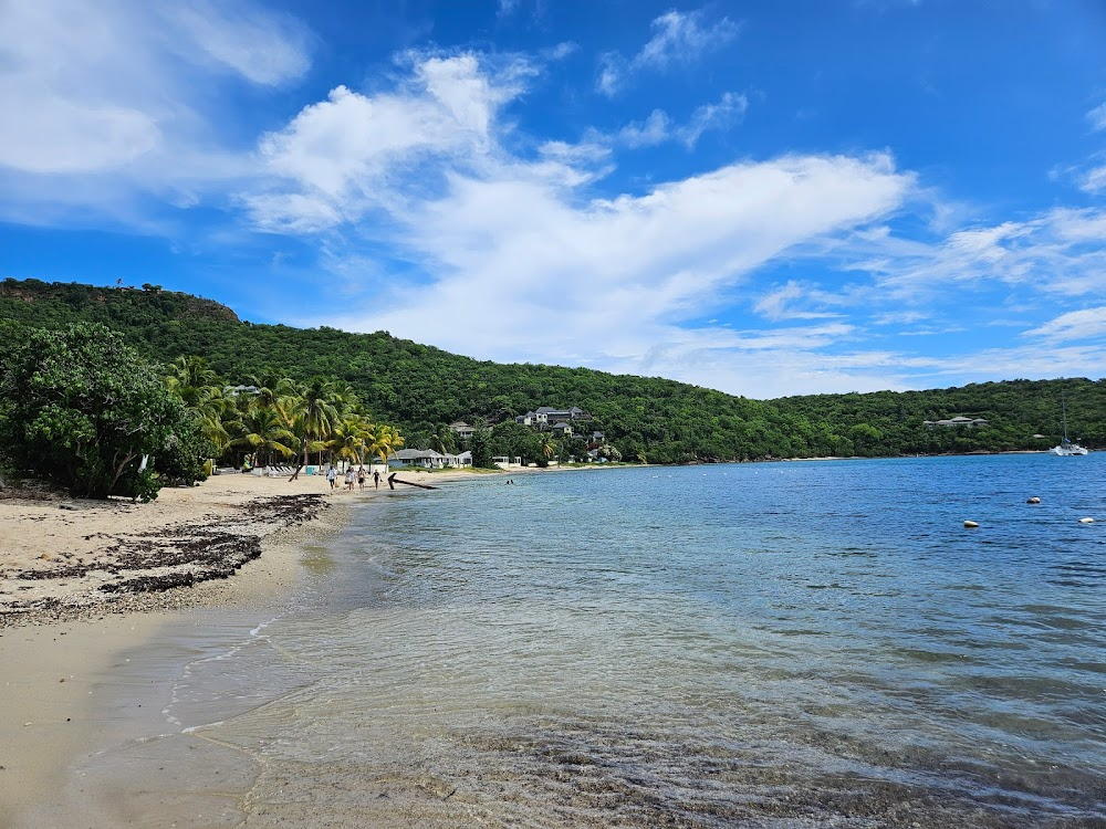 Nelson's Caribbean Hell-Hole: An Eighteenth Century Navy Graveyard Uncovered : Dig site