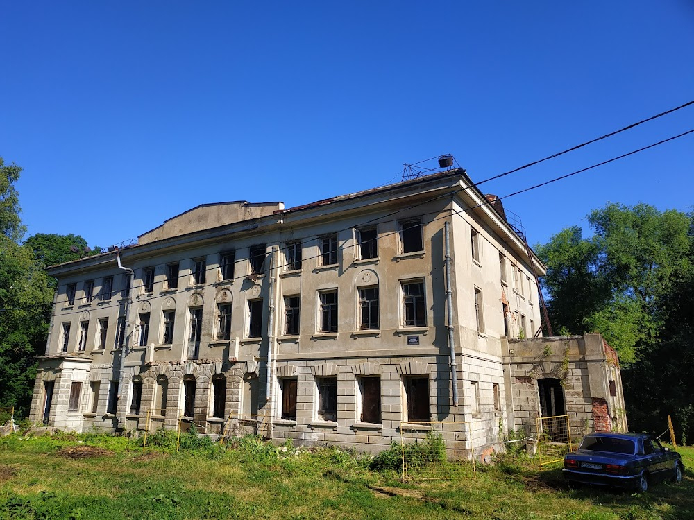 Neokonchennaya pyesa dlya mekhanicheskogo pianino : Anna Petrovna's country estate