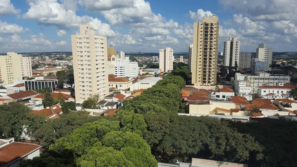 Santo Antônio e a Vaca : 