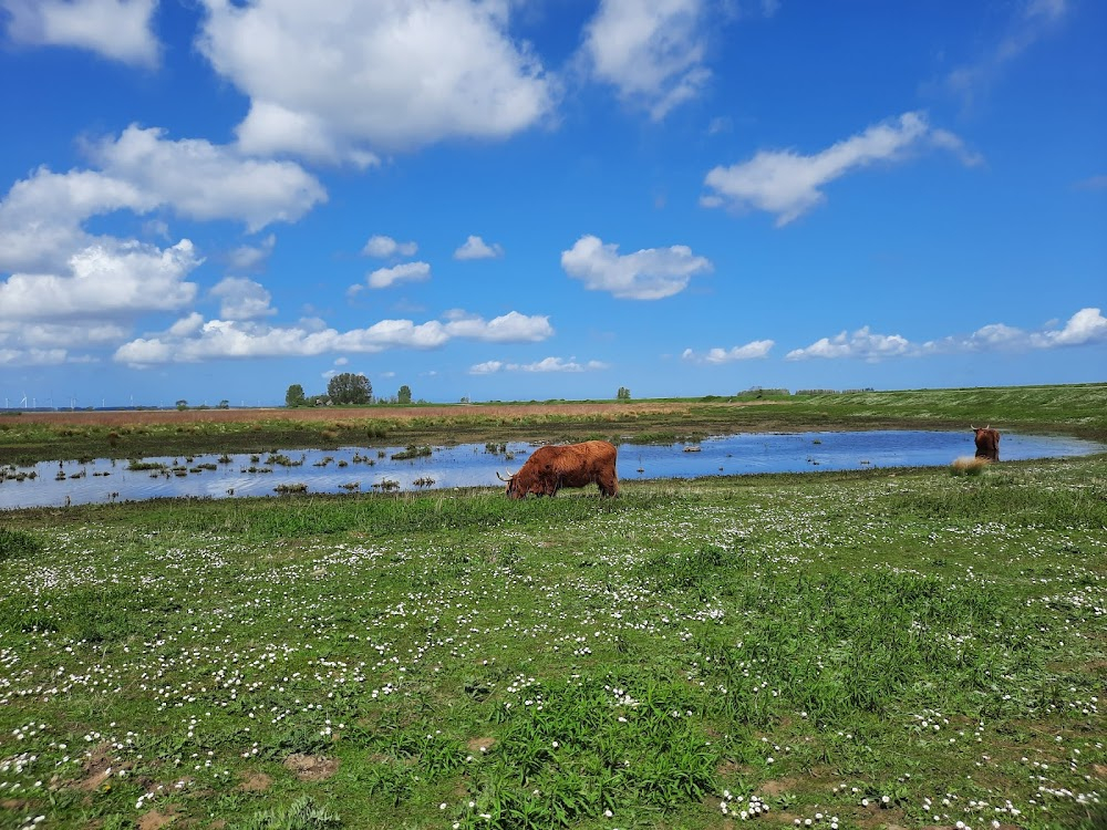 Tiengemeten 2001-2006 : 