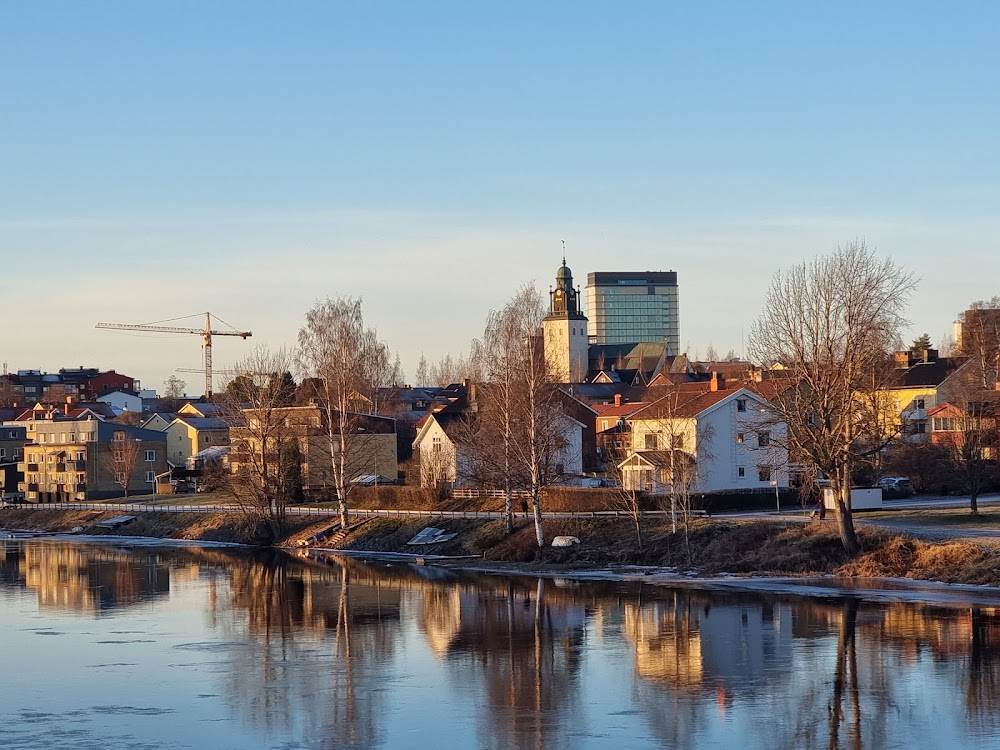 Den röda halsduken : 