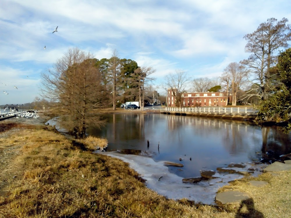 Freedom of NC : Washington Waterfront Underground Railroad Museum