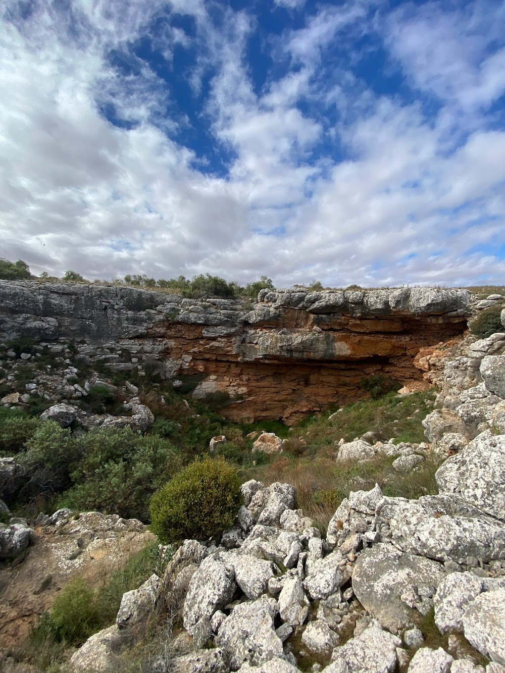 Nullarbor Dreaming : 