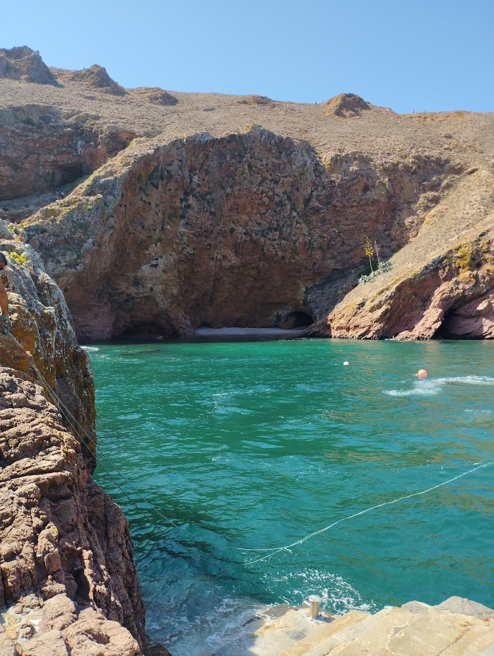 A Castelã das Berlengas : 