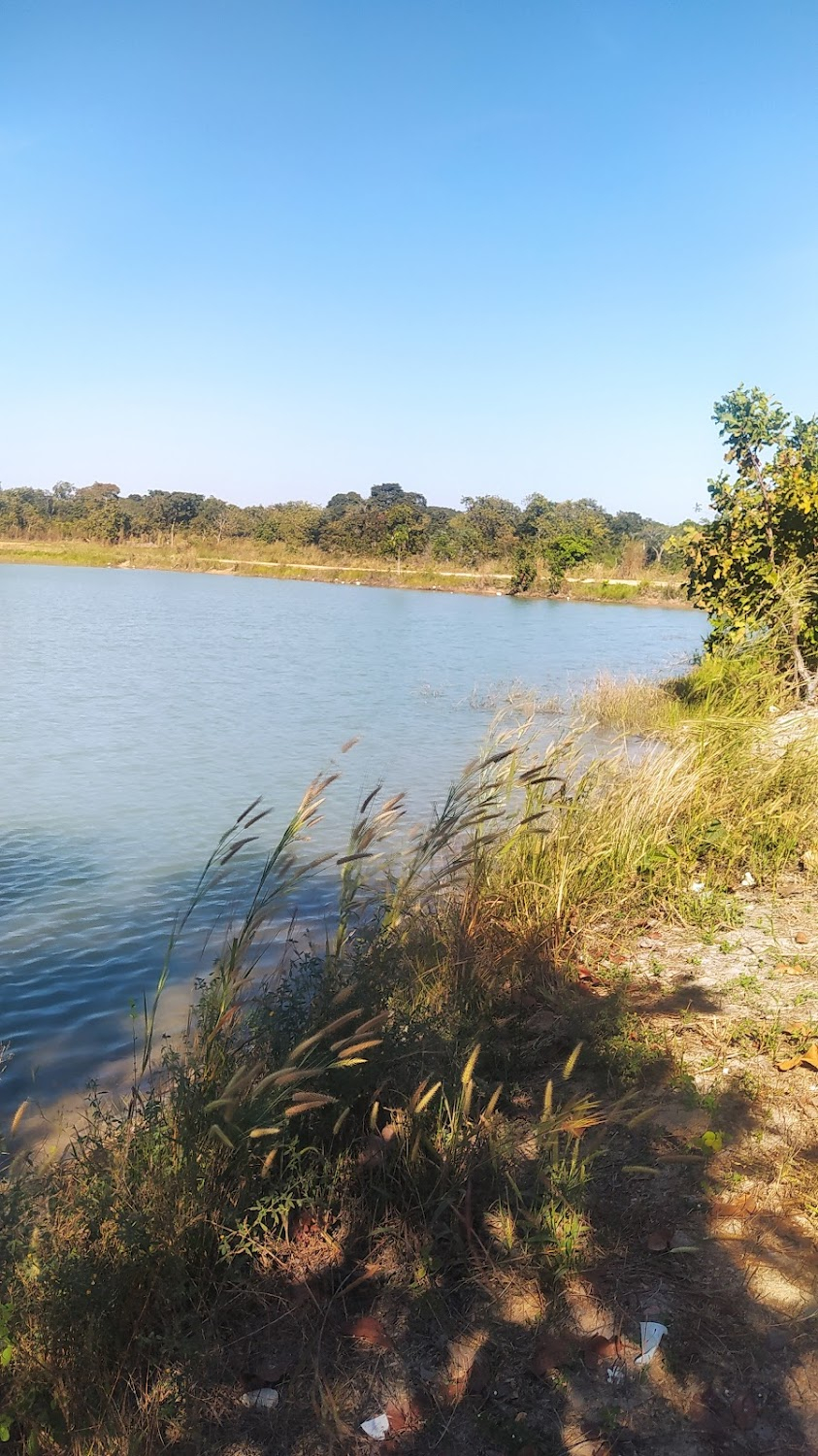 O Rei do Gado : Rural setting.