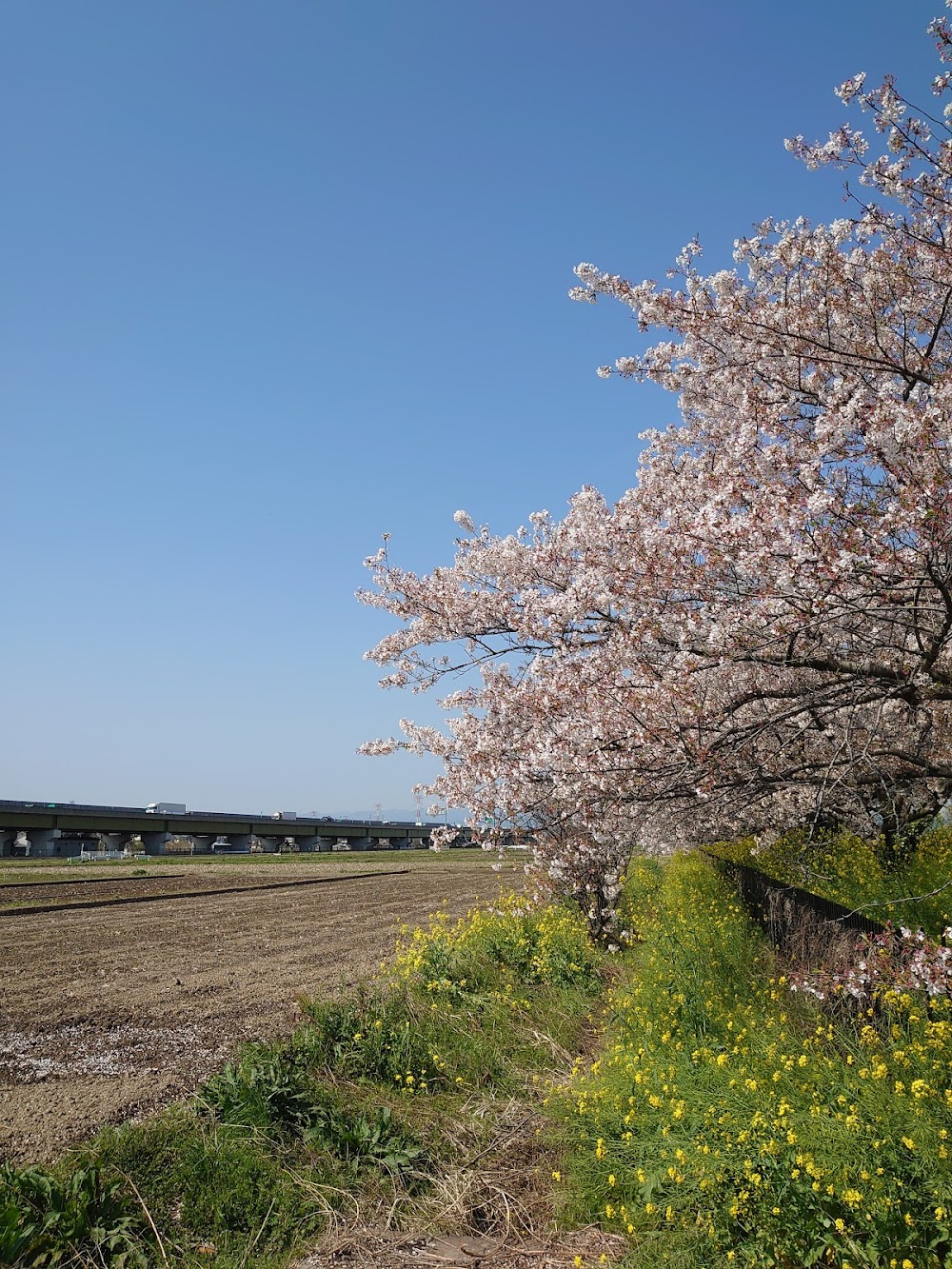 Oishii Kyushoku : location