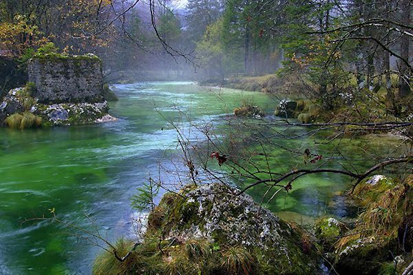 One for the River: The Sava Story : 