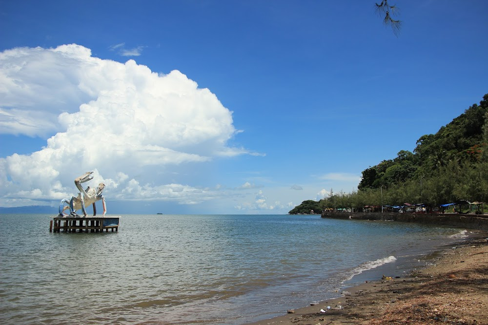 California Dreaming : Hotel Resort, Pier, Mangrove Forest, Oceanfront, Road