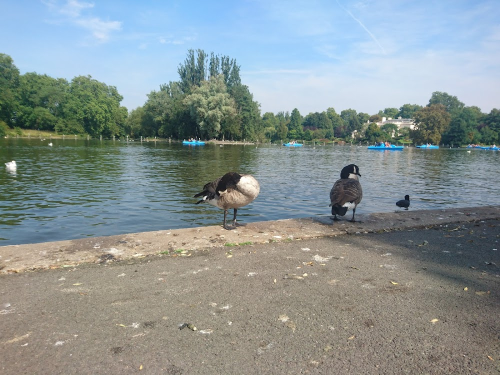 Operation Third Form : the Boss arrives at Regent's Park