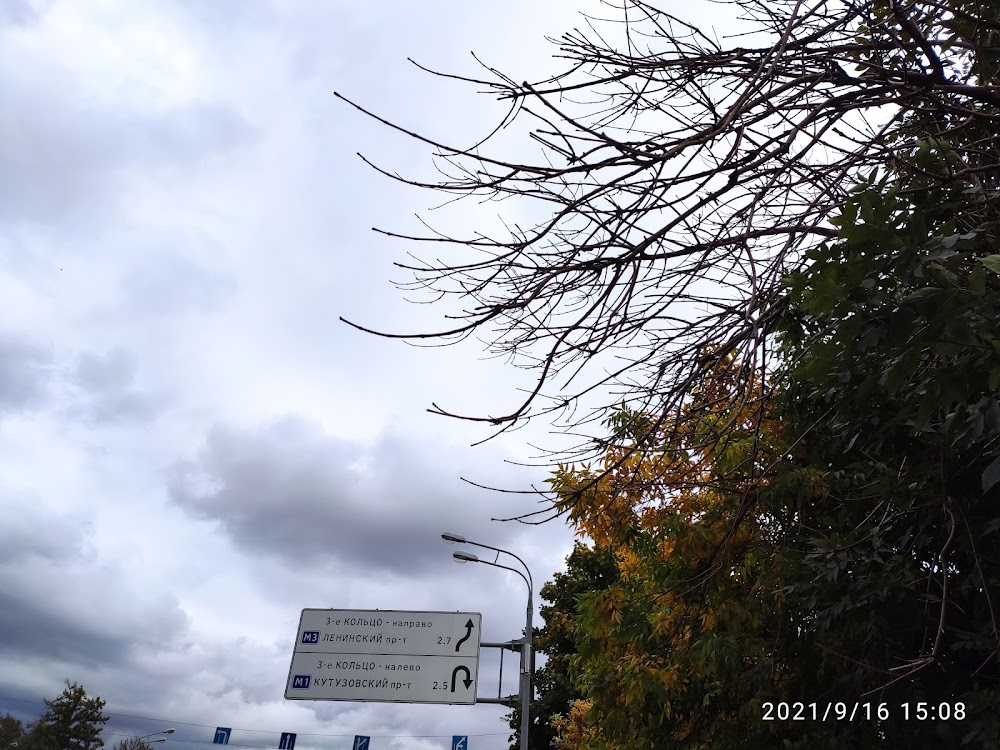 Operatsiya 'Y' i drugie priklyucheniya Shurika : shaking bus