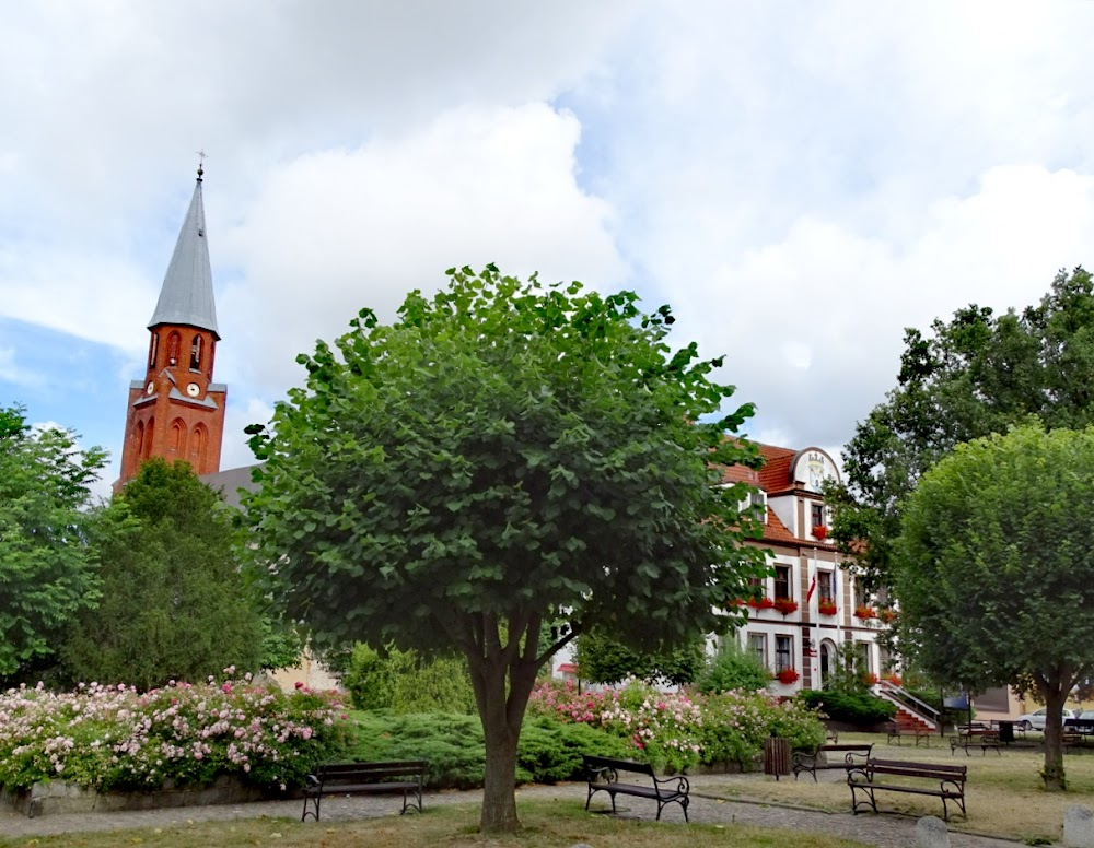 Jarzebina czerwona : castle ruins