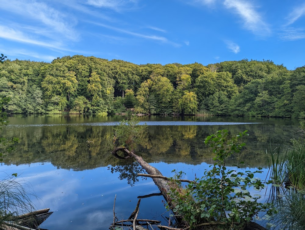 Ostseeparadies Rügen : location