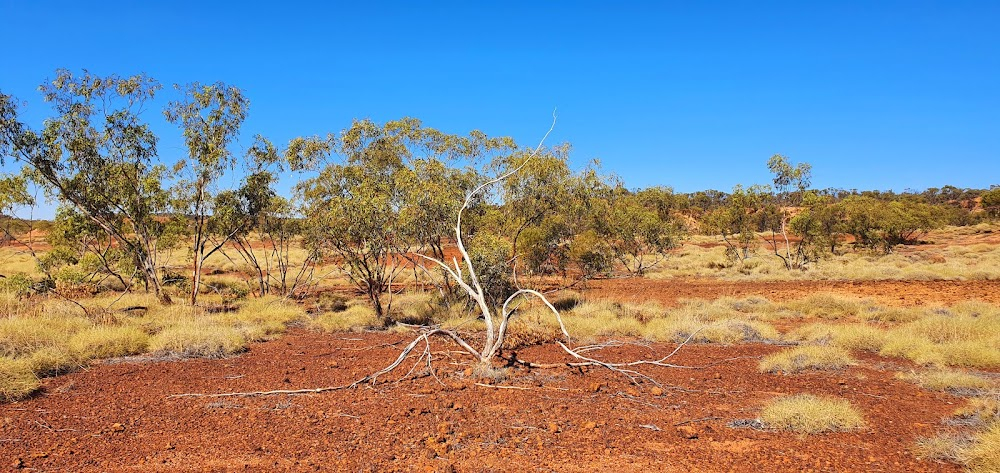 Outback Opal Hunters : 