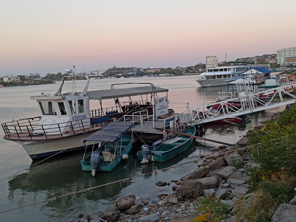 Padurea pierduta : port