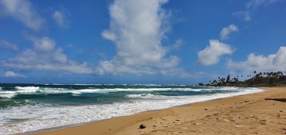 Pagan Love Song : beach where they meet