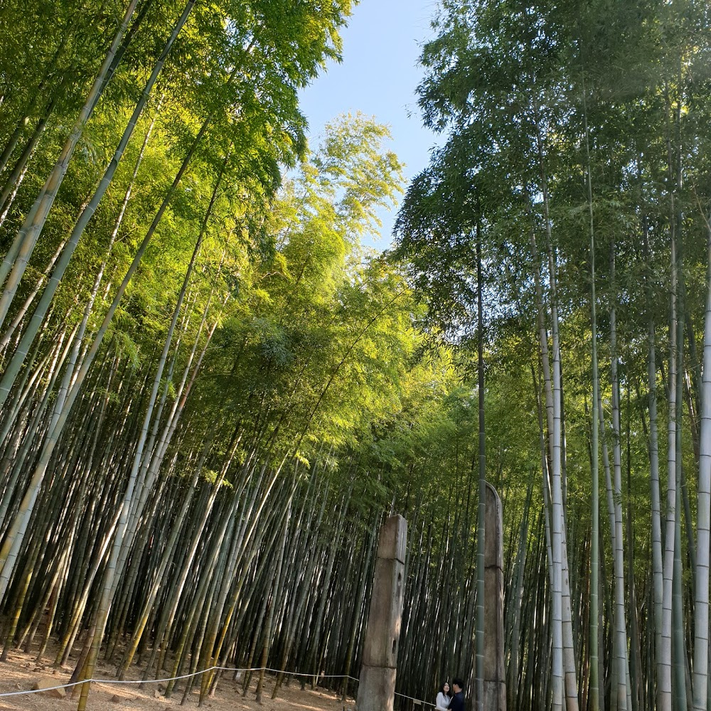 Pamyo : Scenes involving the trail up to the ancestor's grave