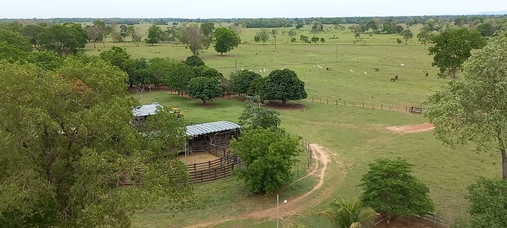 Pantanal : 