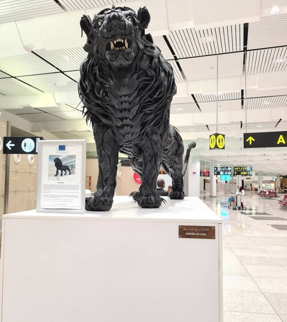 Vive la France : airport departure