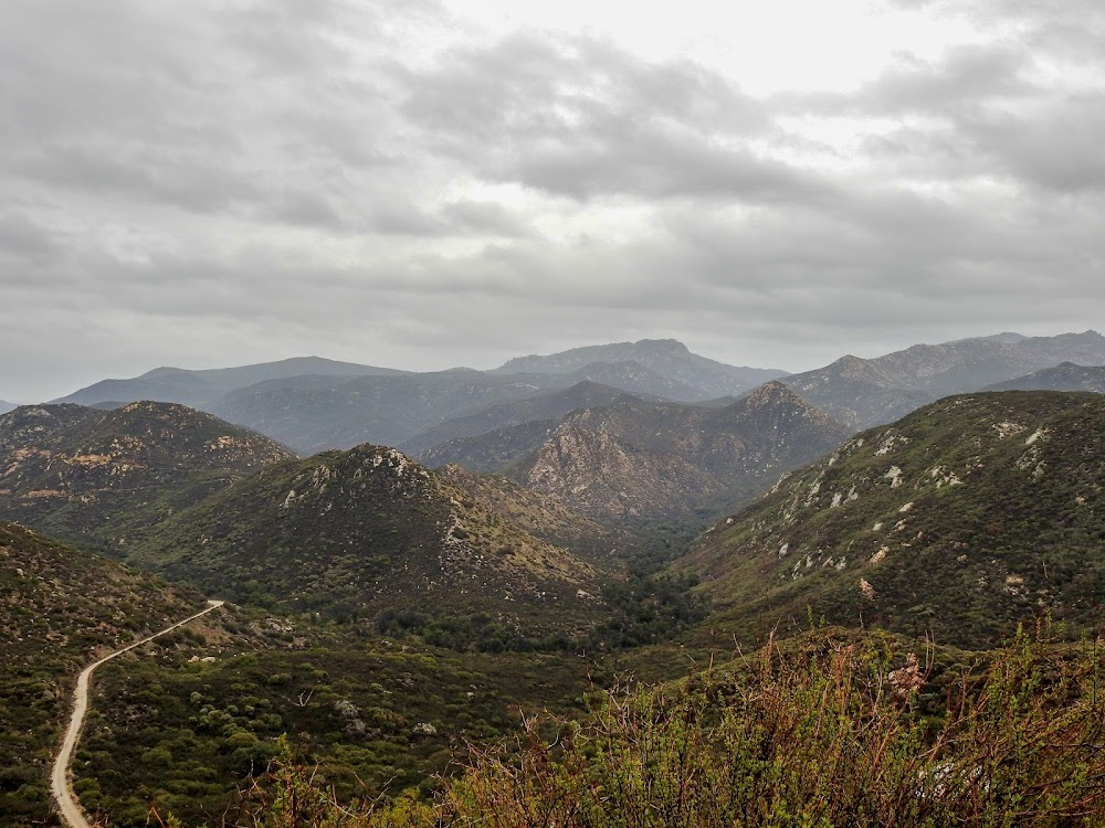 Partners of the Plains : formerly San Jacinto National Forest