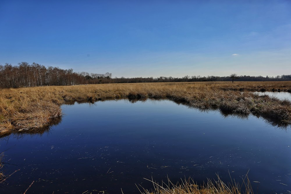 Paula : moor land, peat bog