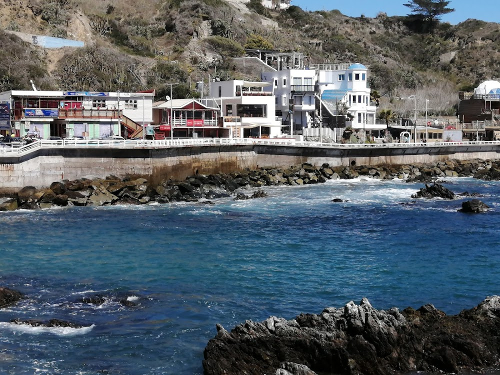 Pelícano : Location: harbour