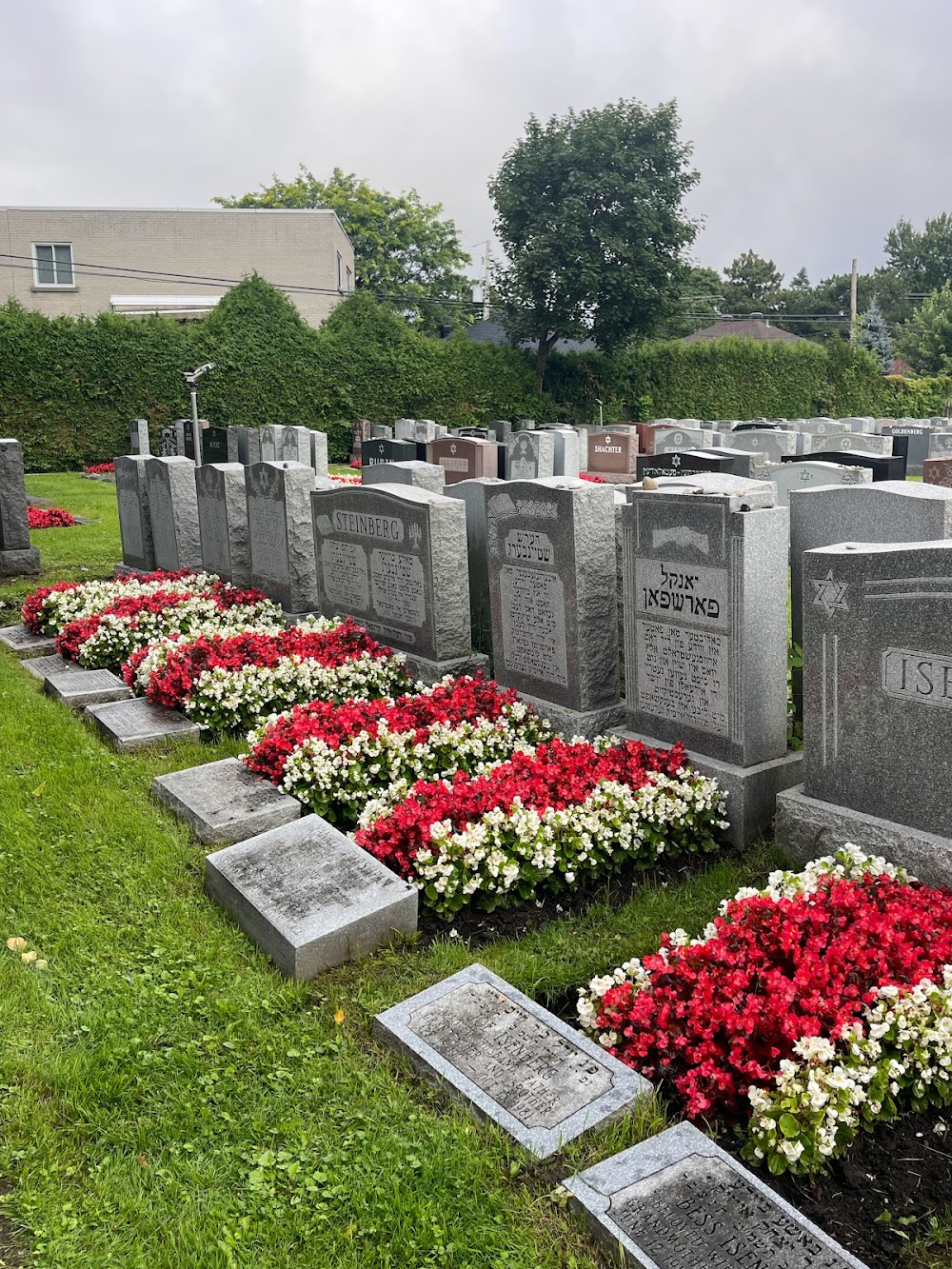 Pieces of a Woman : Jewish cemetery