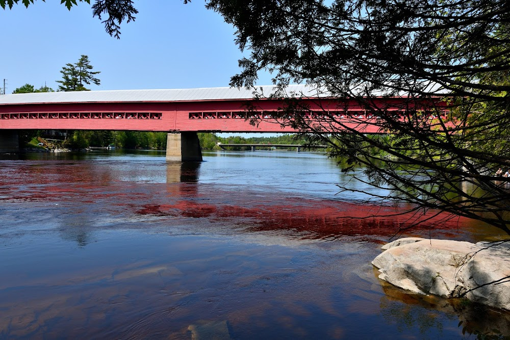 Pink Lake : Covered bridge scene