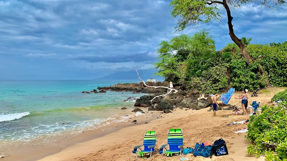 Above & Below Maui : 