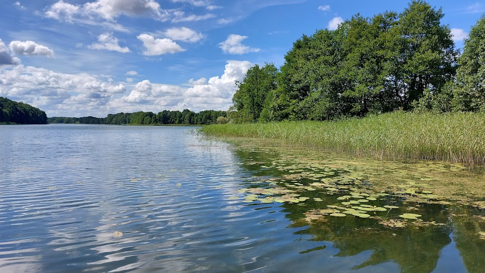 Planeta Singli 3 : lake