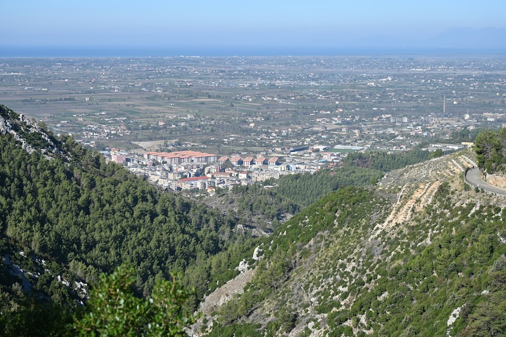 Policë për kokë : 