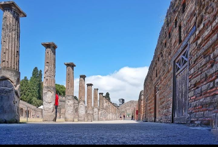 In the Shadow of Vesuvius : 