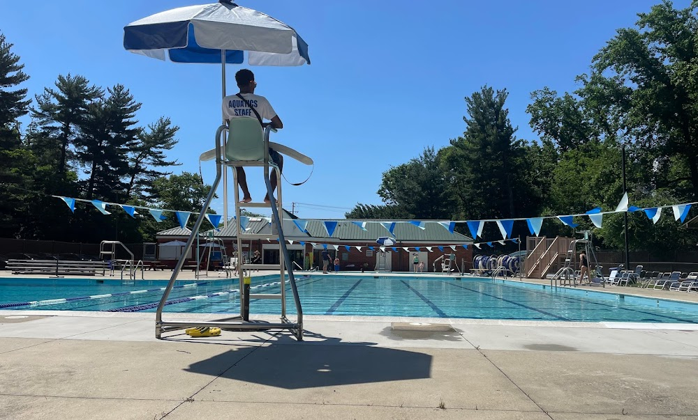 Pool Days : as Piney Branch Swimming Pool