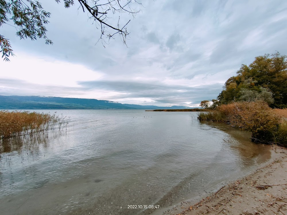 Upsilone : Toutes les scènes sur la plage et dans la forêt