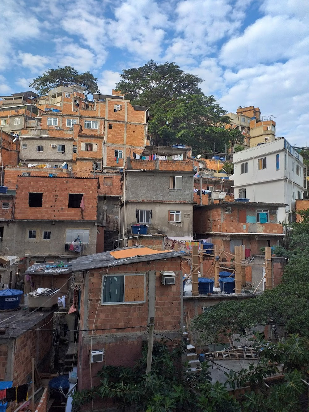 Príncipes Felizes : Favela