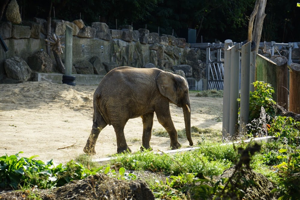 Pünktchen und Anton : zoo scenes