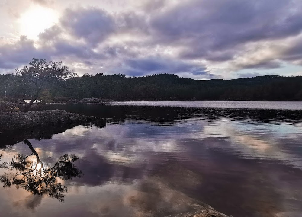 Pyromanen : lake scene