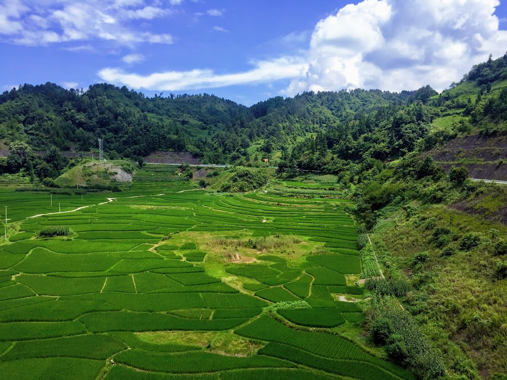 Dou Po Cang Qiong : Duyun City